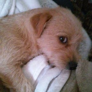 Meet your Posher, Linda